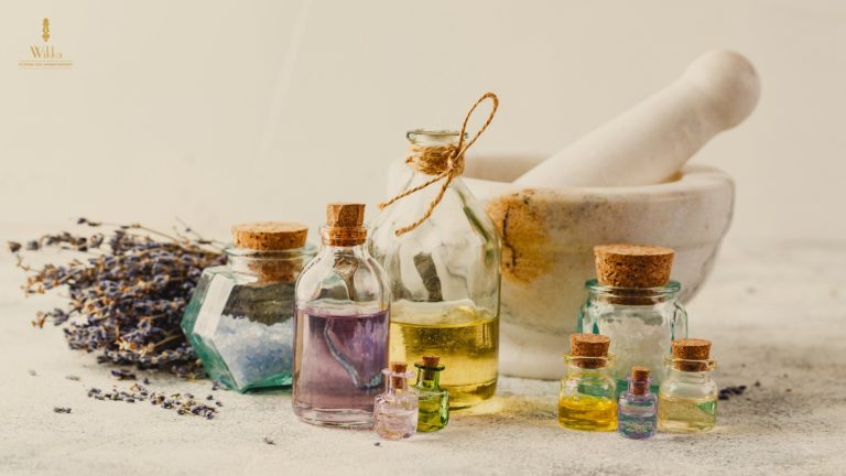 Top 10 Must-Have Essential Oils for Your Collection