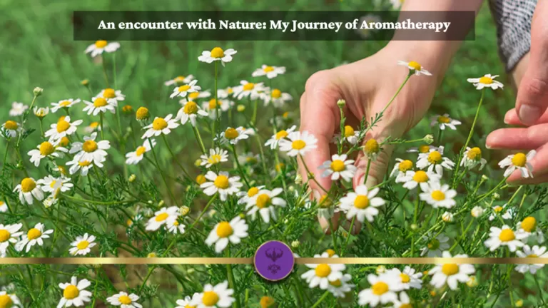 An encounter with Nature: My Journey of Aromatherapy