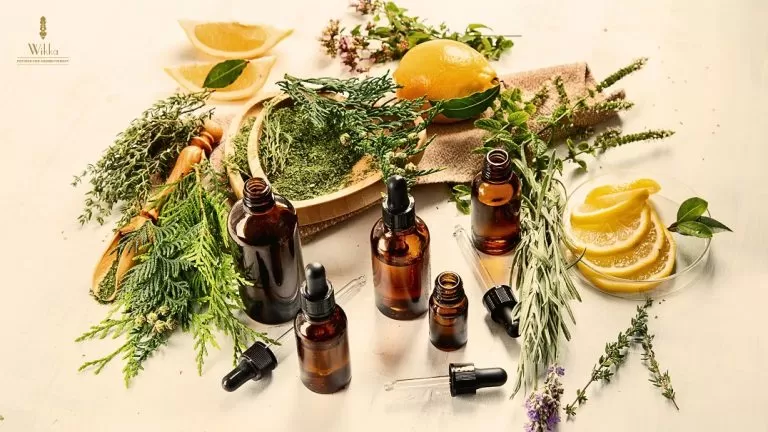 Choosing the Right Essential Oils for Relaxation and Stress Relief