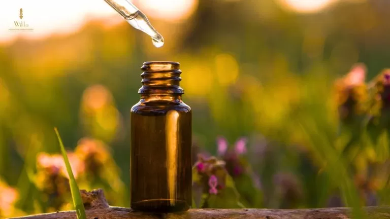Safety First: Tips for Properly Using Essential Oils