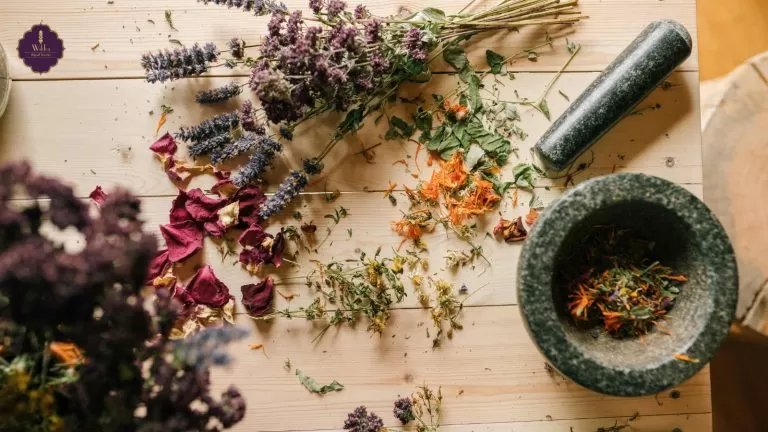 The Scent of Change: Using Aromatherapy to Build Better Habits