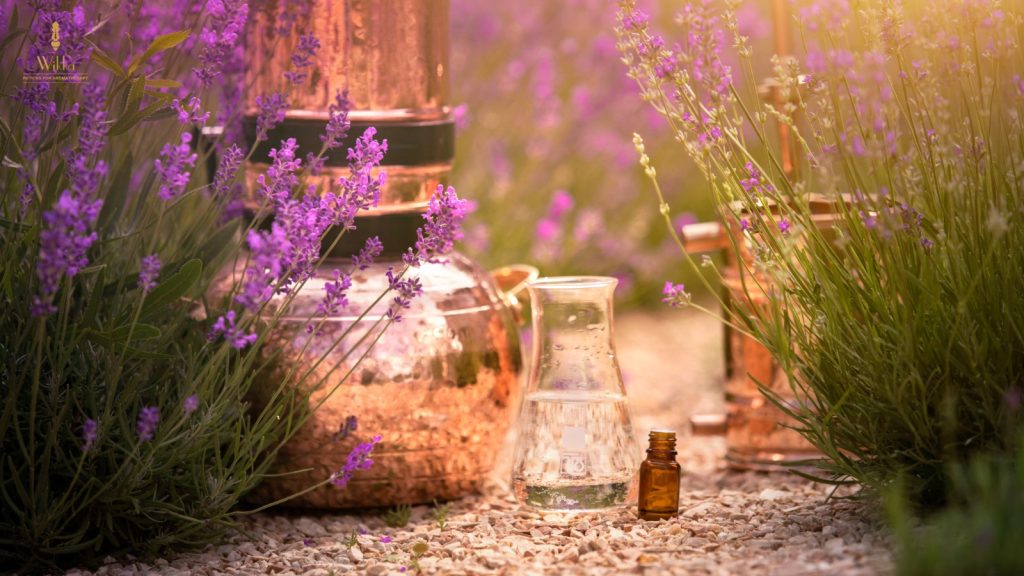 Exploring the History and Origins of Aromatherapy