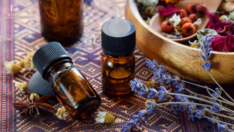 Essential Oils 101: A Beginner's Guide to Popular Oils