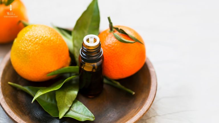 Citrus Sensations: Exploring Essential Oils from Orange to Bergamot